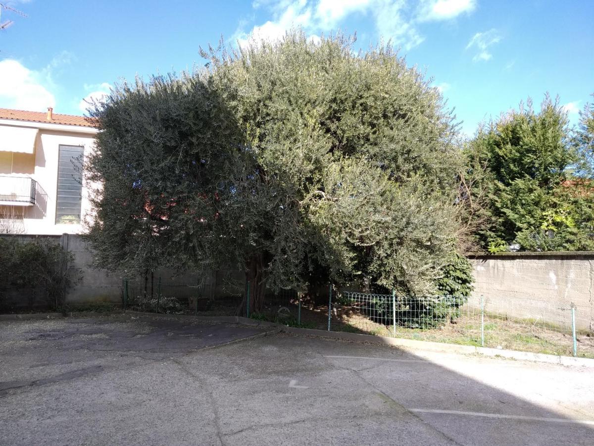Appartement Olivo Vigevano